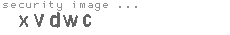 security image