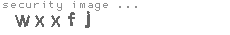 security image
