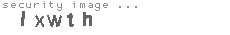 security image