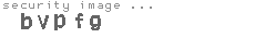 security image