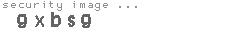 security image