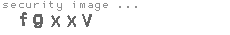 security image