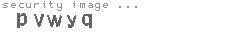 security image