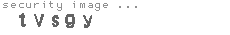 security image