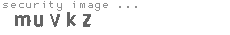 security image