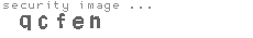 security image