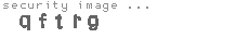 security image
