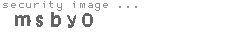 security image