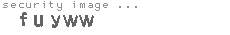 security image