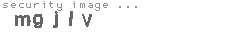 security image