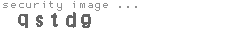 security image