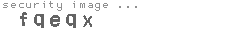 security image
