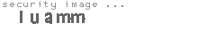 security image