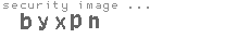 security image