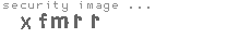 security image