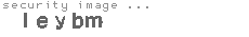security image