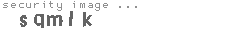 security image