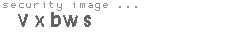 security image