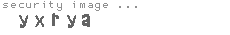 security image