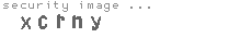 security image