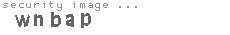 security image