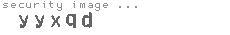 security image