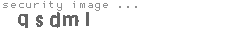 security image