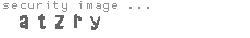security image