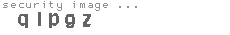 security image