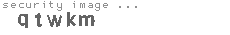 security image
