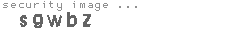 security image