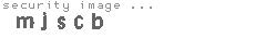 security image