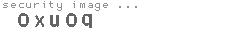 security image