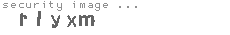 security image