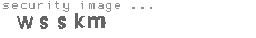security image