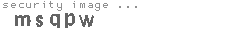 security image