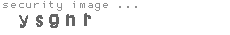 security image