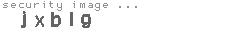 security image