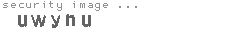 security image