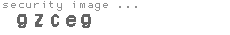 security image