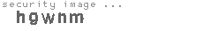 security image