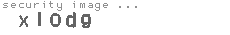 security image