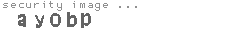 security image