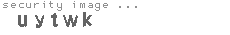 security image
