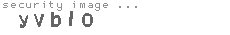 security image