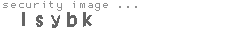 security image