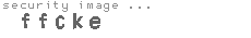 security image