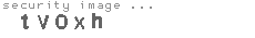 security image