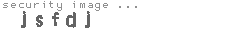 security image