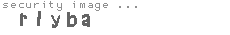 security image